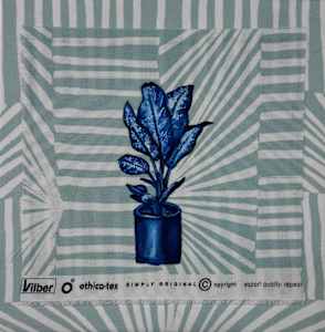 House Plant