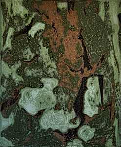 Moss