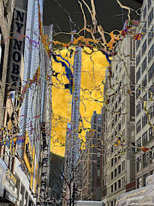 New Moon 12