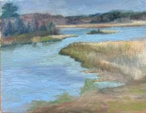 Mepkin Marsh