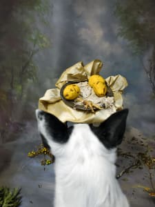 Still Life with Emily, 2021