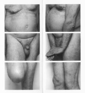 Frieze, No. 5, Two Panels (SP 5 94)