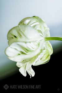 Grace, love note "balance"