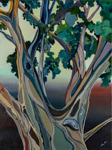 Hawaii Banyan Tree