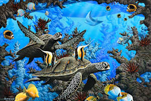 Honu and Reef Fish
