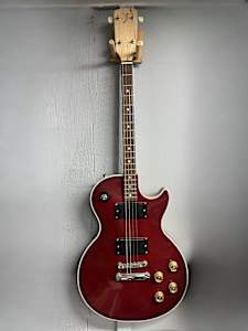 SJ Electric Tenor Guitar