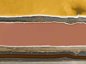 Layered 2/8