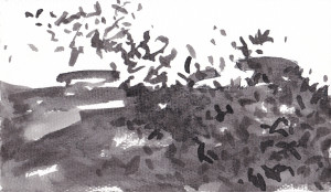 Landscape 2