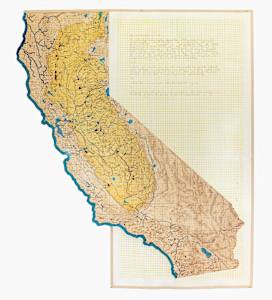 Sacramento Meditations, Part IV. On Devaluing Water