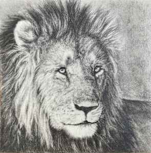 Tsavo Lion