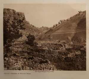 Walled Gardens At Middle Mesa