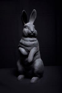 Bunny
