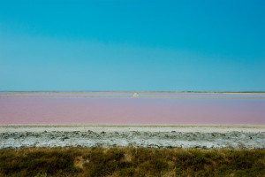 Salt Flat, France Carmargue