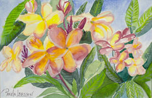 Plumeria
