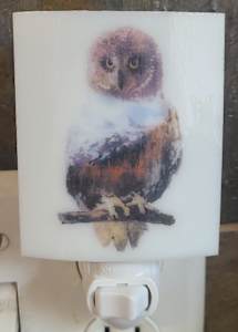 Nightlight-Owl Mountain Scene
