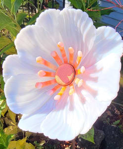 Garden Flower-White Irid with Orange/White Streaky Stamens and Dichroic Center