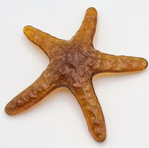 Starfish Paperweight in Brown/Amber