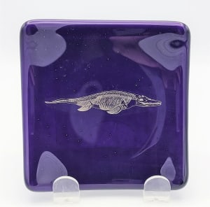 Plate-Royal Purple with Silver Mosasaur Skeleton
