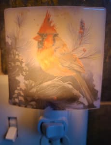 Nightlight with Christmas Cardinal