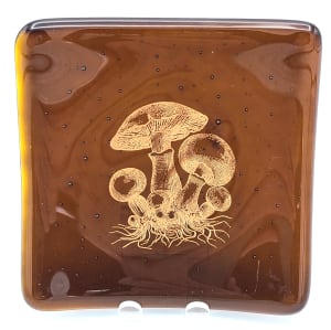 Plate-Gold Mushrooms on Brown
