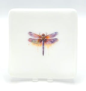 Plate with Dragonfly on White