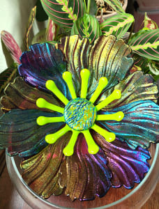 Garden Flower-Cranberry Irid with Spring Green Stamens and Dichroic Center
