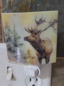 Nightlight-Snowy Elk