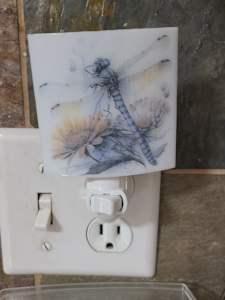 Nightlight-Dragonfly over Flowers