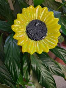 Plant Pick-Yellow Sunflower