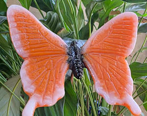 Plant Pick-Butterfly, Large in Orange/White