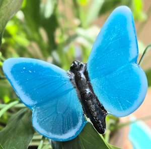 Plant Pick-Butterfly, Large in Turquoise/White