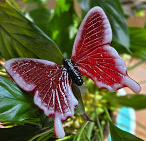 Plant Pick-Butterfly, Large in Red/White