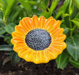 Plant Pick-Golden Sunflower with Orange Accents