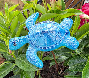 Plant Pick-Baby Sea Turtle in Blues