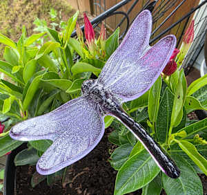 Plant Pick-Dragonfly, Large in Purples