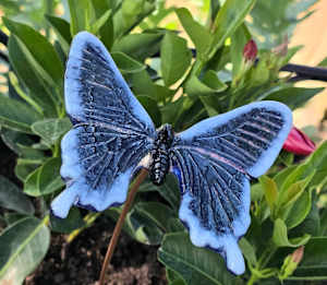 Plant Pick-Butterfly, Large in Blue/White