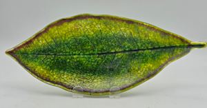 Cloud Forest Magnolia Leaf Dish