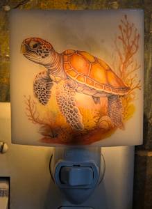 Nightlight-Sea Turtle