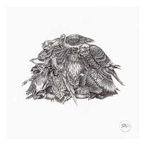 Heap of Birds