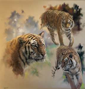 Tiger Trio