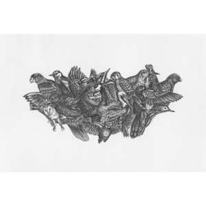 Bowl of Birds