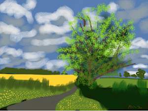 Along the Lane, Cotswolds