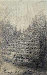 Among the Stones