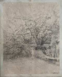 A Moment in the Courtyard 2