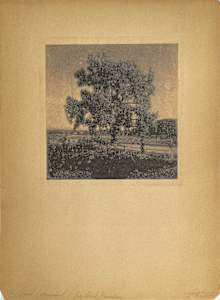 The Grand Cottonwood/Le Grand Peuplier