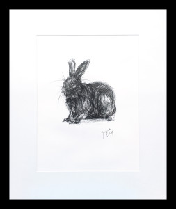 Rabbit 1