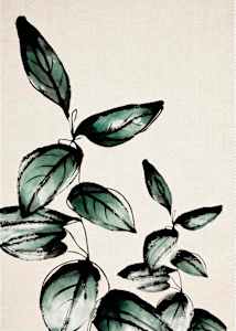 SlateLeaf