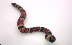 Coral Snake