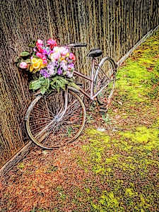 Qualicum Bicycle