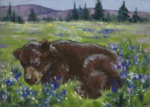 Spring Nap in the Meadow